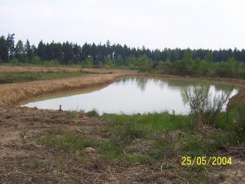 Landkreis Greiz,
Errichtung von Teichanlagen auf dem ehem. Truppenübungsplatz in Neuärgerniß